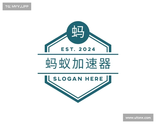 认识蚂蚁加速器